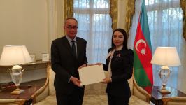 Лейла Абдуллаева вручила копии верительных грамот МИД Франции (ФОТО)