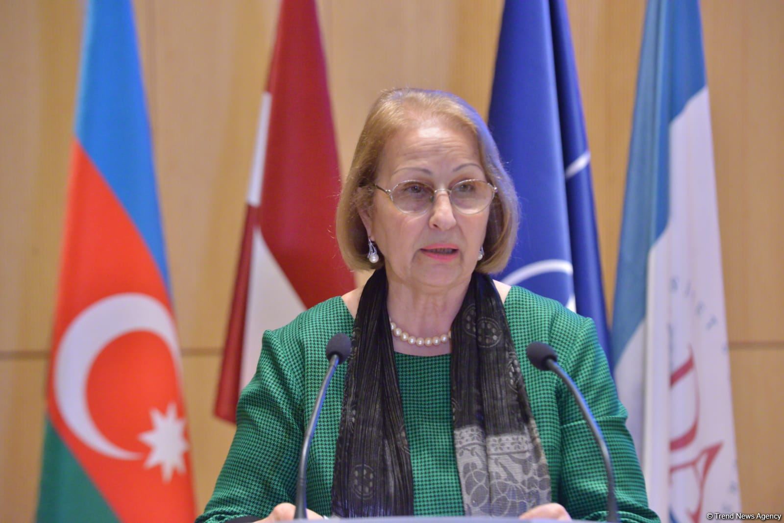 Azerbaijan is NATO's close partner - Assistant Secretary General (PHOTO)