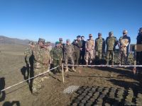Number of anti-personnel mines discovered in Azerbaijan's Sarybaba direction (PHOTO)