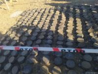 Number of anti-personnel mines discovered in Azerbaijan's Sarybaba direction (PHOTO)