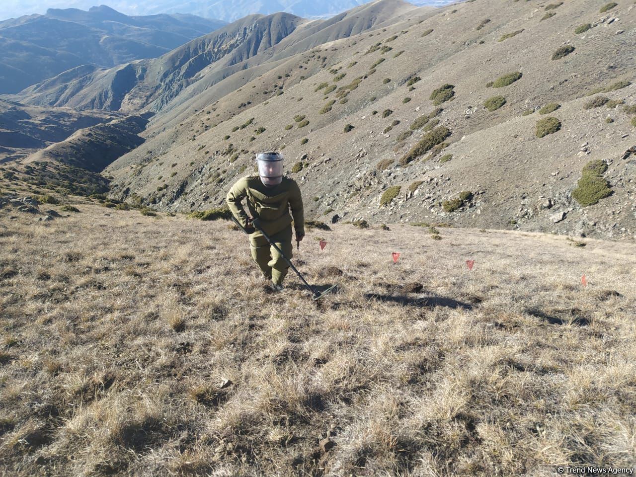 Number of anti-personnel mines discovered in Azerbaijan's Sarybaba direction (PHOTO)