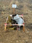 Azerbaijan reveals mine-clearance progress in Aghdam district (PHOTO)