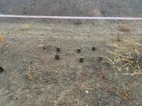 Azerbaijan reveals mine-clearance progress in Aghdam district (PHOTO)