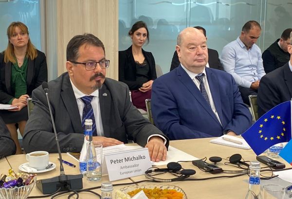 EU ambassador talks investments in several spheres in Azerbaijan