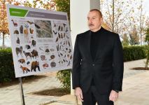 Президент Ильхам Алиев ознакомился с условиями, созданными в агропарке «Шеки-Огуз» (ФОТО/ВИДЕО)