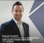 Представители AGF избраны в технические комитеты European Gymnastics