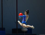 Second day of gymnastics competitions kicks off in Azerbaijan's Sheki (PHOTO)