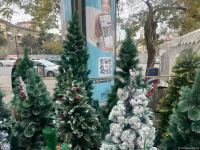 Цены на елки на предновогодних ярмарках в Баку (ФОТО)
