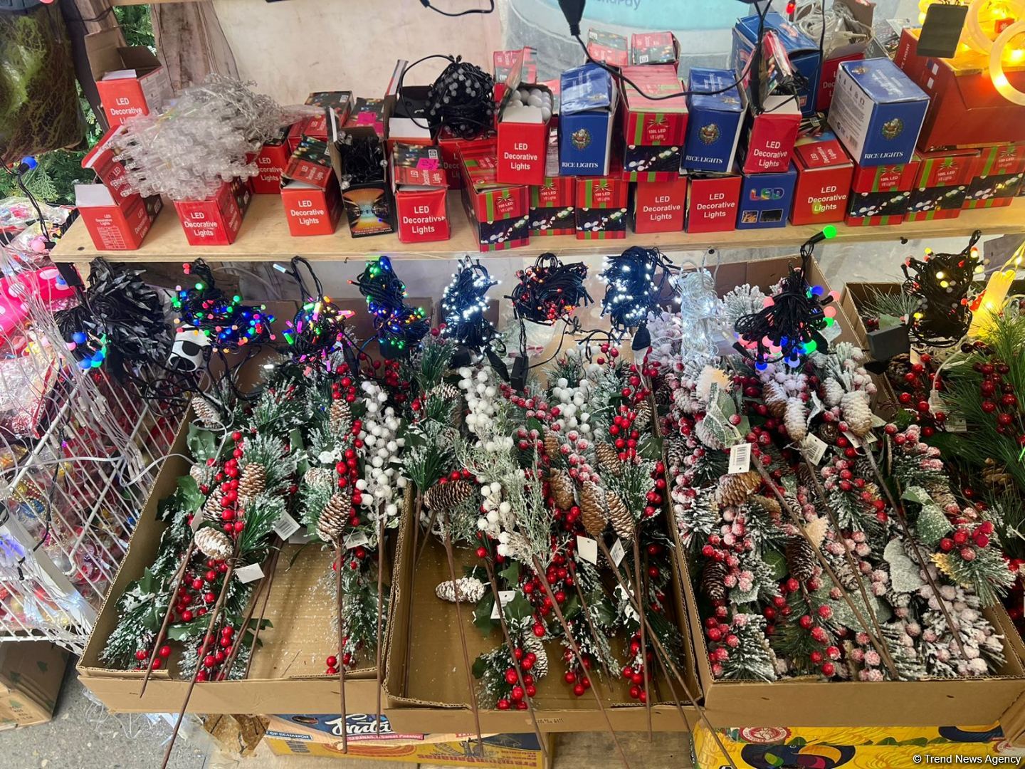 Цены на елки на предновогодних ярмарках в Баку (ФОТО)