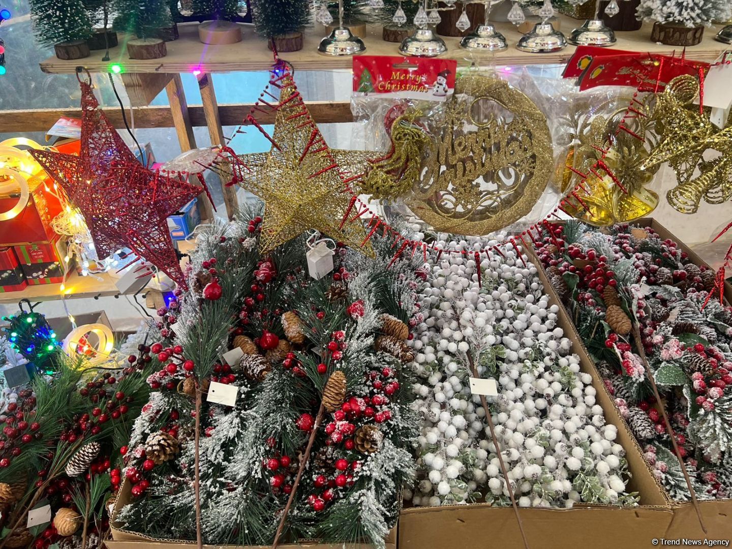 Цены на елки на предновогодних ярмарках в Баку (ФОТО)