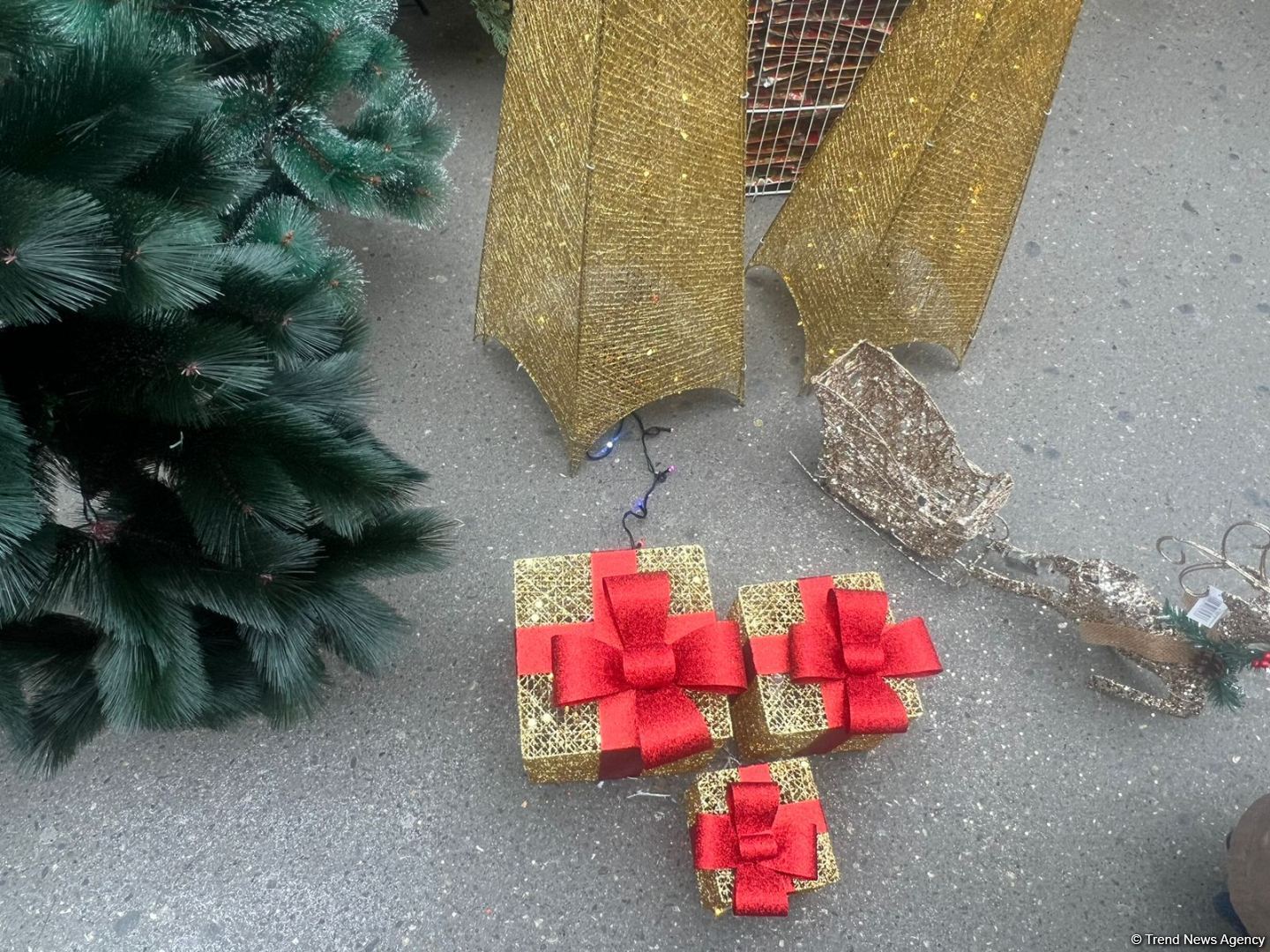 Цены на елки на предновогодних ярмарках в Баку (ФОТО)