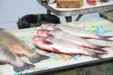Цены на продукцию на ярмарках ”Из села в город" в Баку и на Абшероне (ФОТО)