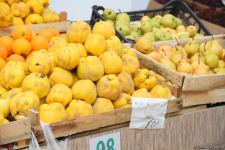 Цены на продукцию на ярмарках ”Из села в город" в Баку и на Абшероне (ФОТО)