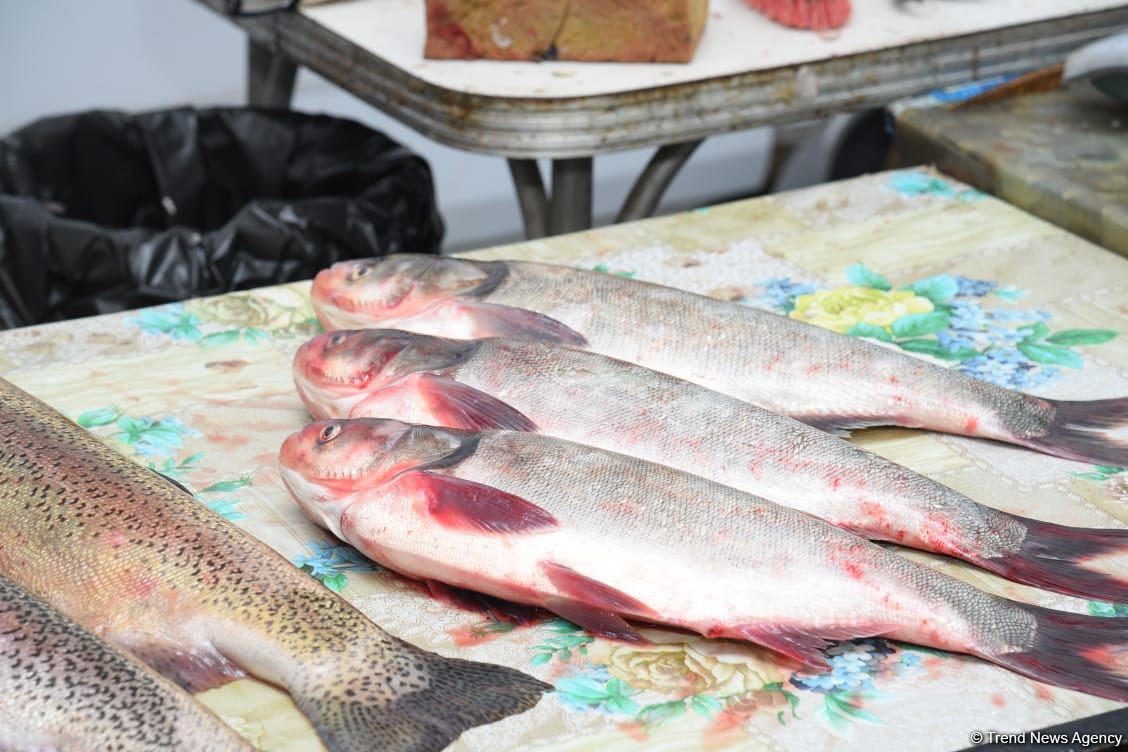 Цены на продукцию на ярмарках ”Из села в город" в Баку и на Абшероне (ФОТО)