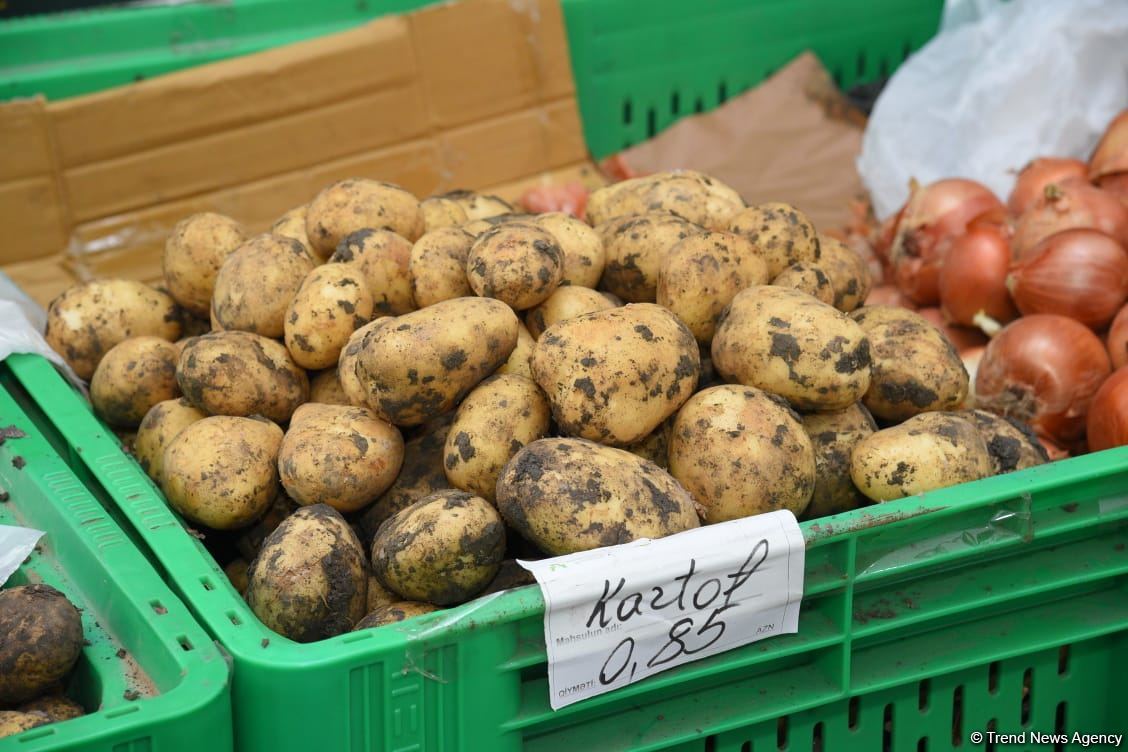 Цены на продукцию на ярмарках ”Из села в город" в Баку и на Абшероне (ФОТО)
