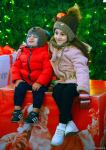 Баку в канун Нового года (ФОТОРЕПОРТАЖ)