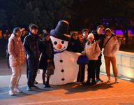 Баку в канун Нового года (ФОТОРЕПОРТАЖ)