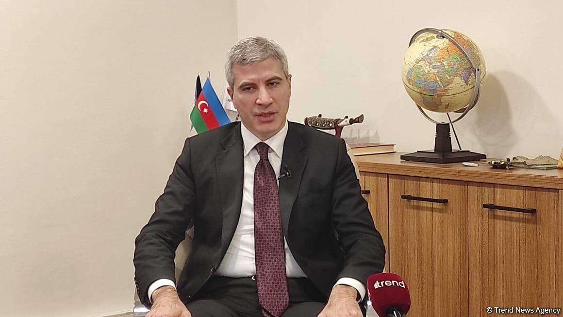 Мы электронизируем процесс трудоустройства инвалидов - Мустафа Аббасбейли