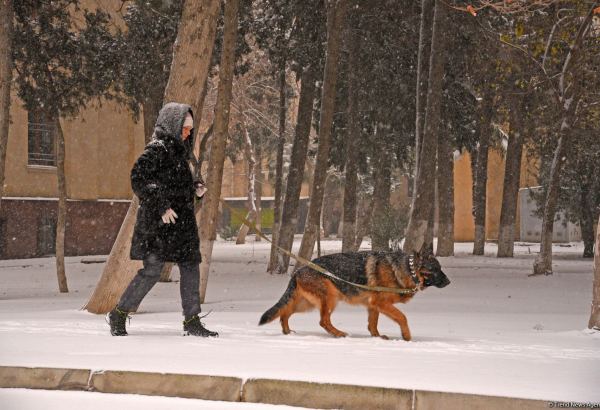 Заснеженный Баку (Фоторепортаж)