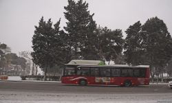 Заснеженный Баку (Фоторепортаж)