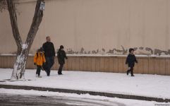 Заснеженный Баку (Фоторепортаж)