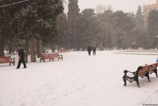 Заснеженный Баку (Фоторепортаж)
