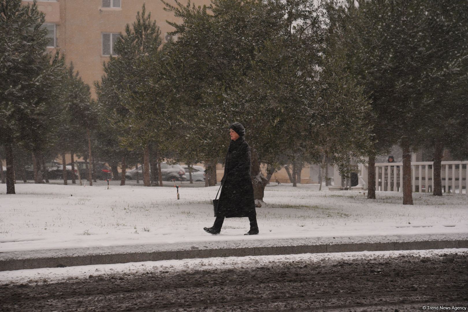 Заснеженный Баку (Фоторепортаж)