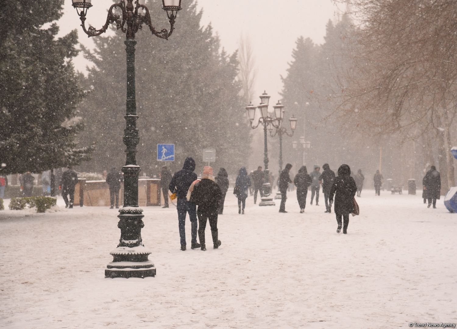 Заснеженный Баку (Фоторепортаж)