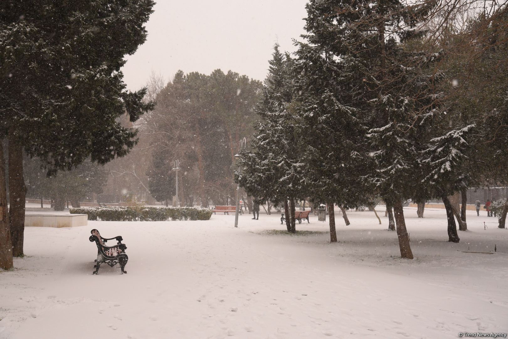 Заснеженный Баку (Фоторепортаж)