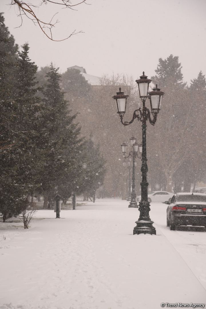 Заснеженный Баку (Фоторепортаж)