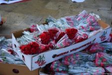 В Баку начаты работы по подготовке к годовщине 20 Января (ФОТО)