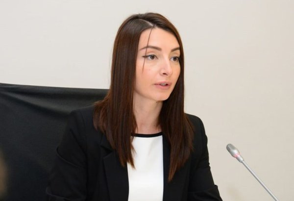Лейла Абдуллаева осудила антиазербайджанскую кампанию во Франции