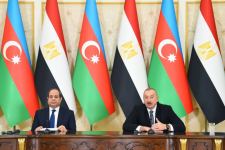 Президенты Азербайджана и Египта выступили с заявлениями для прессы (ФОТО/ВИДЕО)