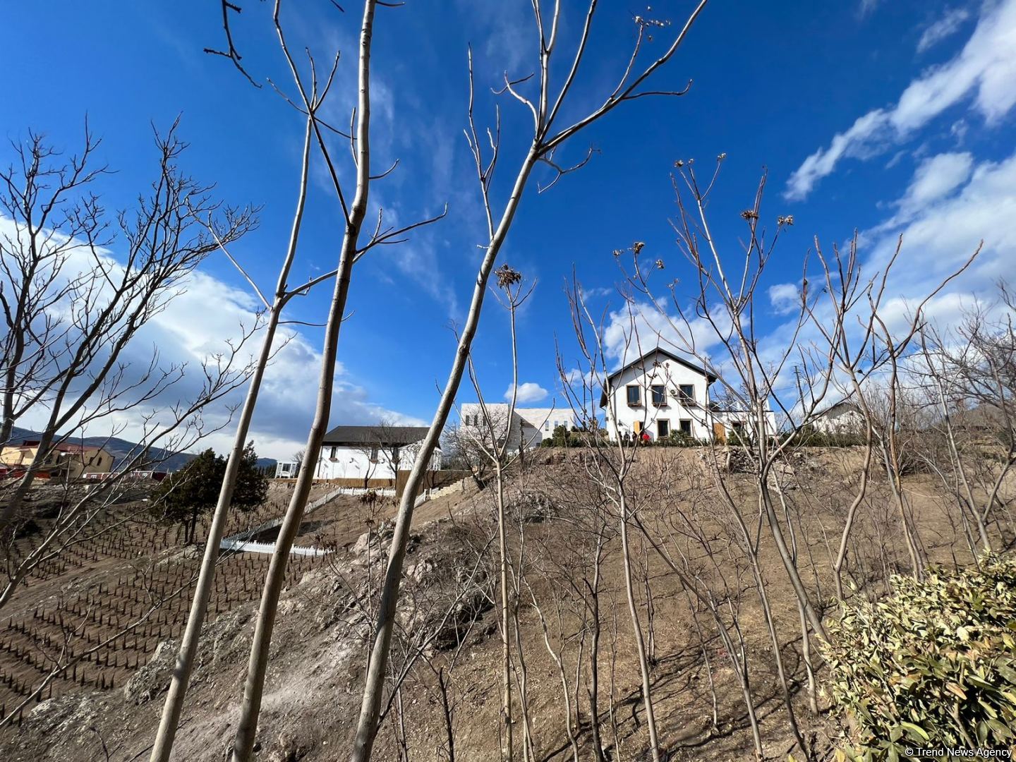 Путешественники ознакомились с макетами новых домов в городе Лачин (ФОТО)