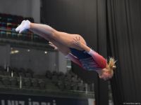 Amazing somersaults and twists - best moments from first day of Trampoline World Cup in Baku (PHOTO)