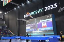 Final day of Trampoline World Cup starts in Baku (PHOTO)