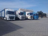 Из Азербайджана в Турцию отправлены еще 7 домов модульного типа (ФОТО)
