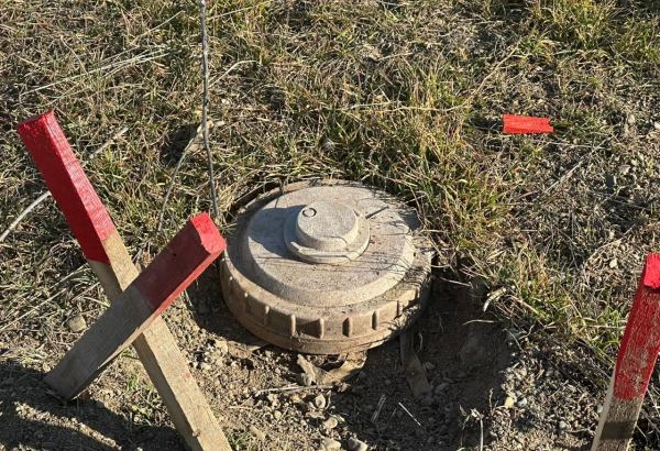 In Azerbaijan gov't and people unite to clear lands from mines - example for many countries, iVoice Communications CEO says