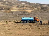 Tree-planting in Azerbaijan's Jabrayil as part of establishing forest park complex continues (PHOTO)