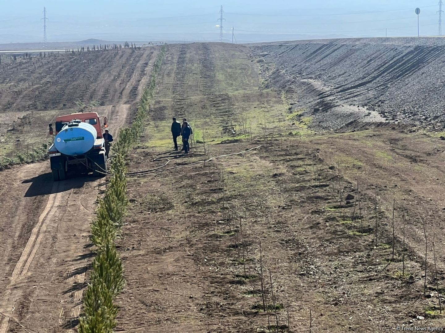 Tree-planting in Azerbaijan's Jabrayil as part of establishing forest park complex continues (PHOTO)