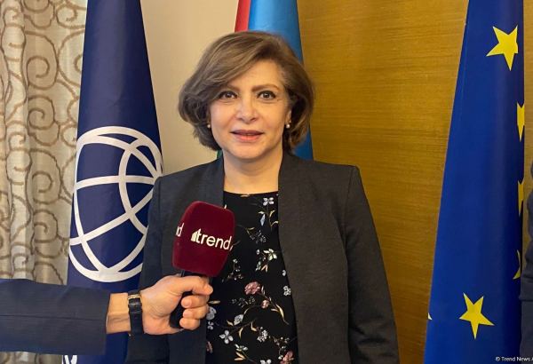 WB expects Azerbaijan's human capital rates to grow further