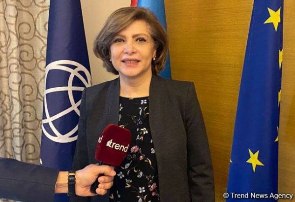 WB, Azerbaijan discuss prospects for improving country's human capital index - regional director