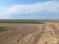 Распространены кадры человеческих останков, обнаруженных в Агдаме (ФОТО)