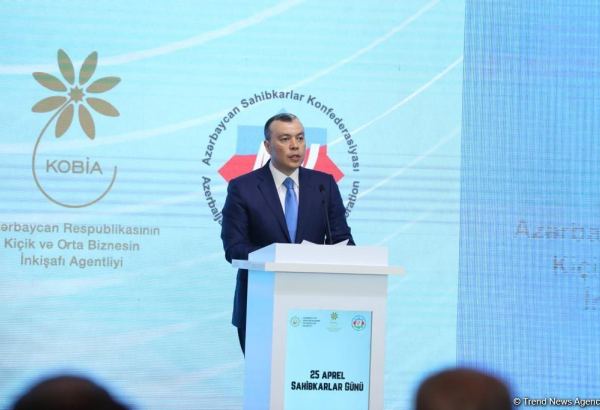 Azerbaijan works on digitalization of labor relations field - minister