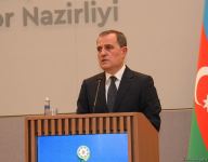 Главы МИД Азербайджана и Франции провели пресс-конференцию (ФОТО/ВИДЕО)