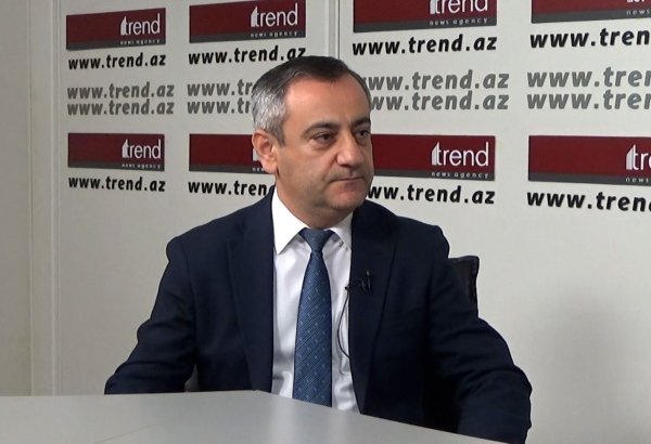 Azerbaijan's growing global influence further inflames anti-national forces - analyst