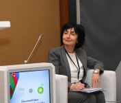 В Баку прошла международная конференция на тему "Приоритеты внешней политики общенационального лидера Гейдара Алиева" (ФОТО)