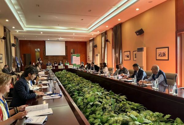 World cultural heritage facing number of challenges - ICOMOS