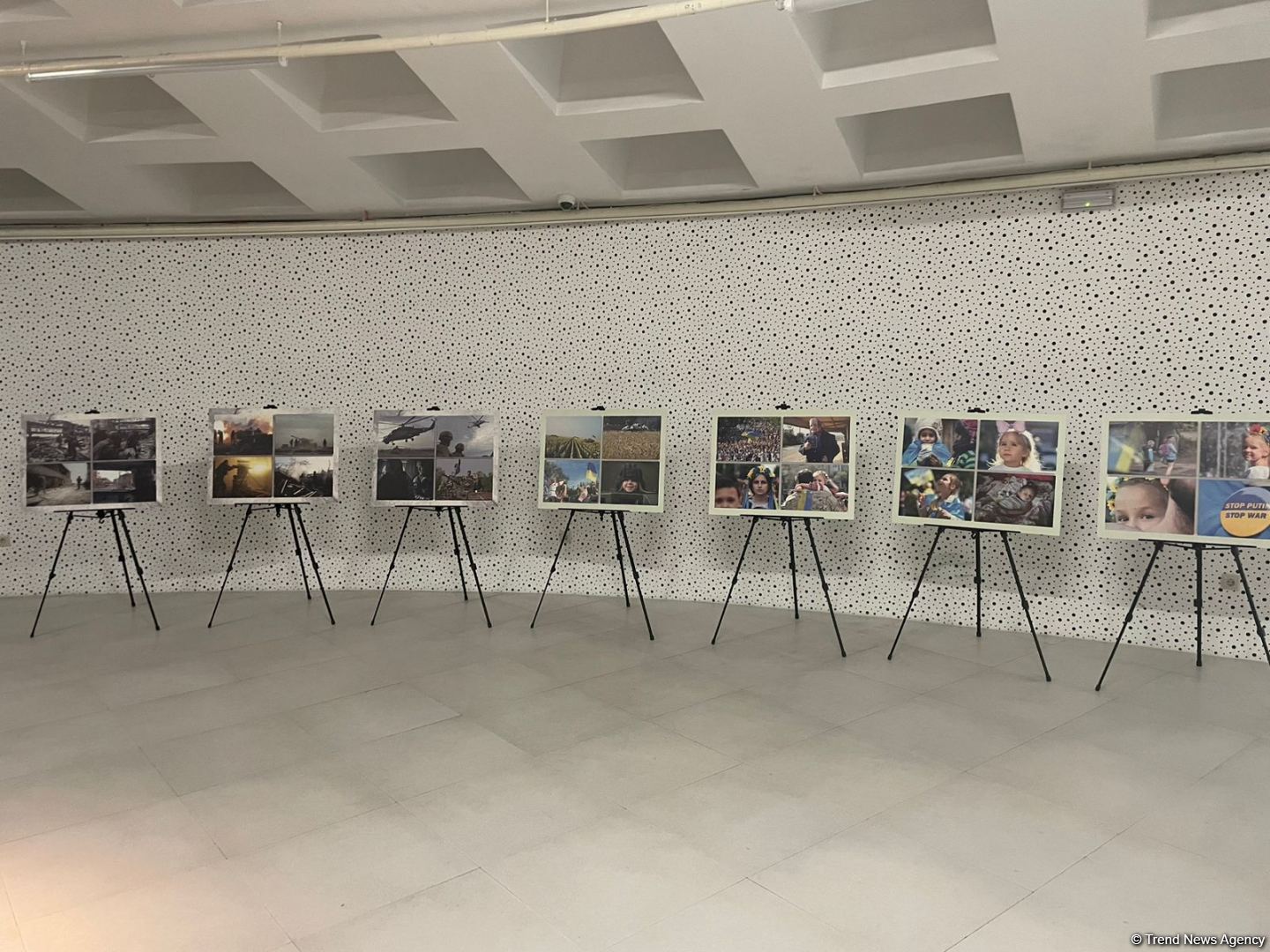 В Баку состоялся показ фильма "Mariupolis 2" (ФОТО)