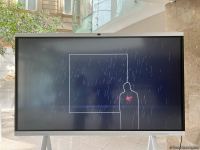 В Национальном музее искусств Азербайджана представлен уникальный проект "Сохранившаяся природа" (ФОТО)